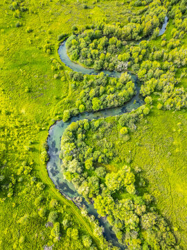 Aerial view captures the meandering river flowing through a vibrant green valley surrounded by lush trees. The tranquil landscape showcases the beauty of nature in the Alps region.