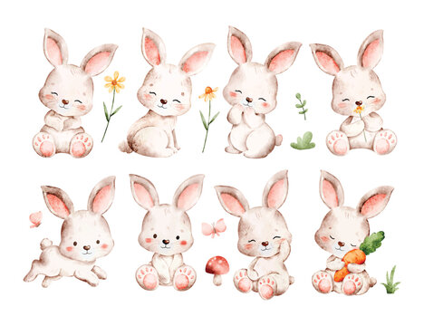 Watercolor Illustration Set of Cute White Bunny with Nature Elements
