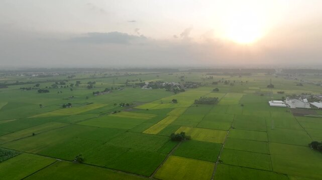 Stunning golden hour aerial drone footage over the lush green agricultural heartland on the outskirts of Mohali, Punjab.
