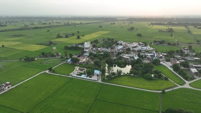 Cinematic aerial drone footage featuring a sweeping orbit shot around a quaint village nestled amidst vast, lush green agricultural fields on the outskirts of Mohali, Punjab.