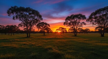Fototapeta premium Vibrant Sunset Over Australian Landscape with Silhouette Trees and Golden Light.