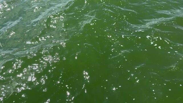 Emerald green water surface with small waves and sunlight reflections. Top view of rippling lake or sea water with white foam. Natural turquoise liquid background