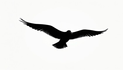 Fototapeta premium Black seagull silhouette flies spread wings wide. Bird soars high above white space. Avian creature in motion against clear sky. Freedom, nature, wildness.