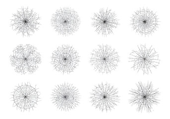 Obraz premium Collection of Twelve Dandelion Seed Head Illustrations.