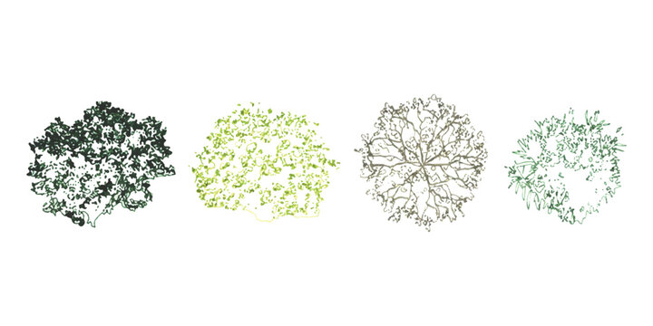 Set of four different tree top view illustrations for landscape design and architecture plans