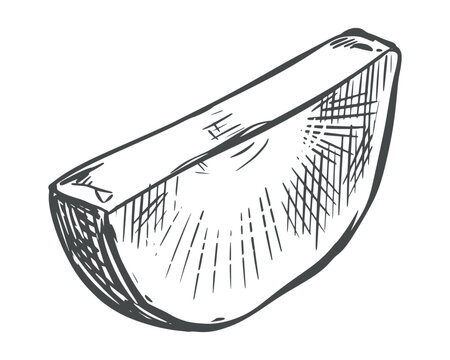 Sweet potato sketch. Vector illustration of the vegetable. A piece of unpeeled batat lies on a table. Hand drawn, imitating an engraving. Outline drawing of a yam, done in ink. Line drawing.