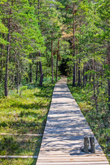 Fototapeta premium Wooden walking trail in a pine woodland with forgotten wellington boots