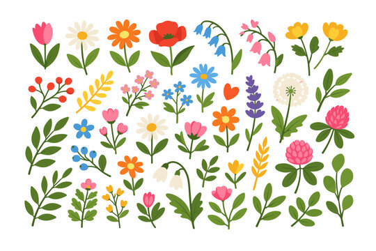 Collection of Colorful Floral Elements in Flat Color Style; Set of Spring and Summer Wild Flowers, Plants, Leaves, and Berries for Botanical Design, Nature Illustration, and Garden Decoration.