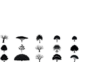 Fototapeta premium Assortment of tree silhouettes.
