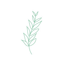Fototapeta premium Leaves doodle illustration leaf botanical drawing Nature that can be used for sticker, book, scrapbook, icon, decorative, e.t.c cute with medium green color