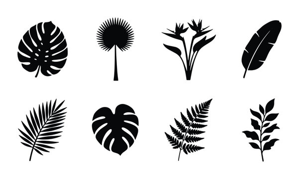 Tropical Leaf Silhouettes, Exotic Botanical Elements, Vector Set of Jungle Foliage, Nature Icons for Design