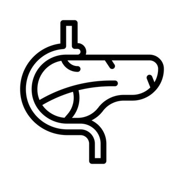 pancreas line icon