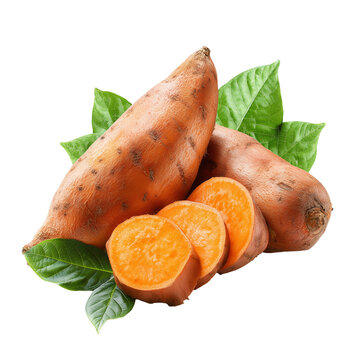 Fresh sweet potato whole and halved isolated on white or transparent  background