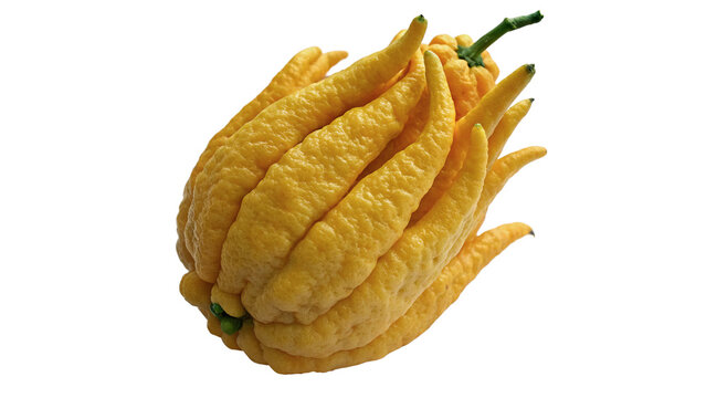 Unique yellow fruit displayed on a white background with a focus on its texture and shape