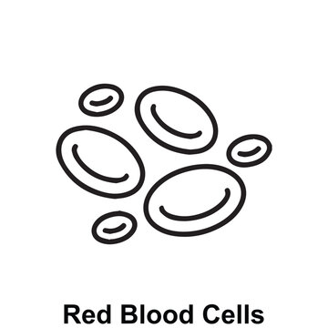 Modern red blood cells icon representing oxygen transport, blood circulation, and overall hematology health in a clean and professional vector style ideal for medical, healthcare and biology design