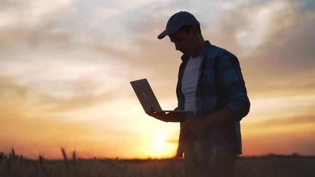 Male farmer holds laptop in warm sunset field. Agronomist checks wheat crop using technology. Worker types on laptop during bright evening. Smart farmer inspects crop in rural agriculture field.