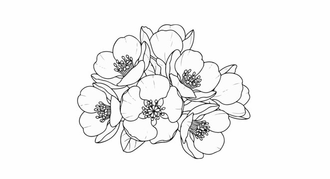 Delicate outline drawing of a cluster of blooming flowers
