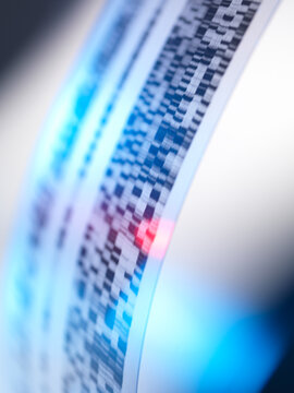 Close up of a DNA autoradiogram with genetic information