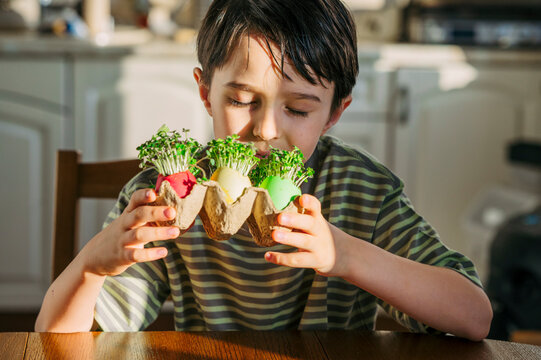 Child smelling fresh microgreens in colored Easter eggshells