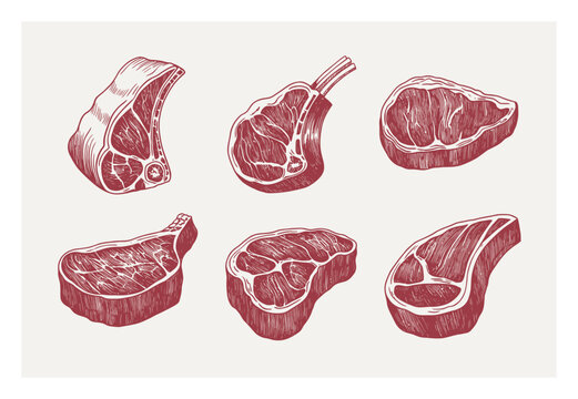 Hand-Drawn Collection of Six Different Beef Cuts in a Vintage Style