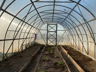Naklejka premium Empty greenhouse interior with metal frame and glass panels under natural daylight