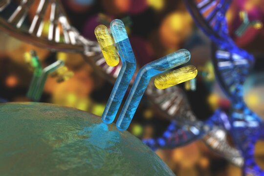 antibody, immunoglobulin, Y-shaped protein produced mainly by plasma cells,   3d rendering