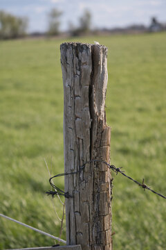 Weathered wooden fence post with barbed wire on a green pasture