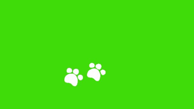 Paw footprint on green background
