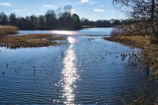 Sparkling sun reflections on a calm lake in spring