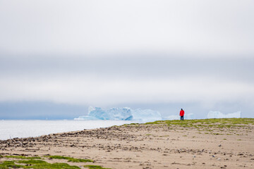 Person standing on beach looking at icebergs in Greenland © nicoescobarphoto