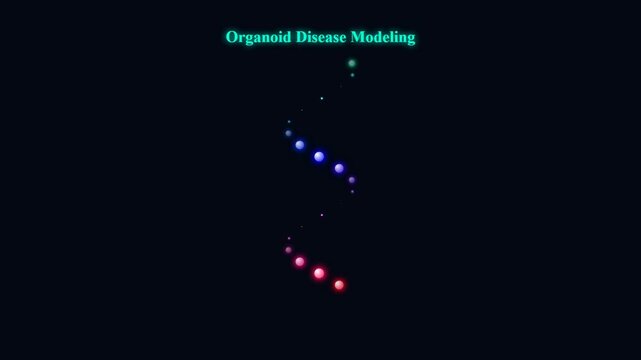 An intricate abstract representation showcasing the principles of Organoid Disease Modeling, with colorful illuminated spheres curving on a dark, scientific backdrop.