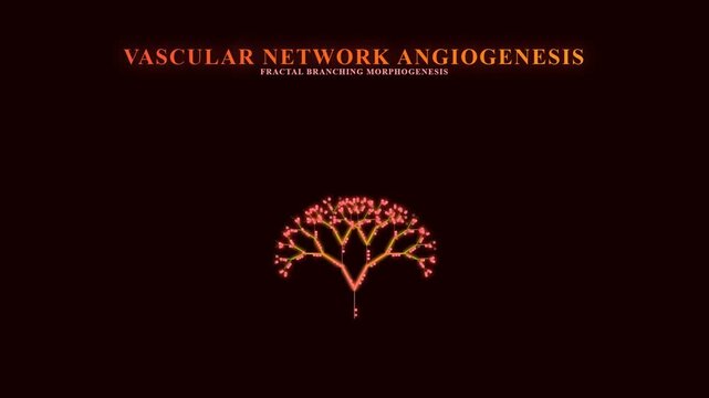 Advanced scientific visualization of complex vascular network angiogenesis in Organoid Disease Modeling research illustrating fractal branching morphogenesis.