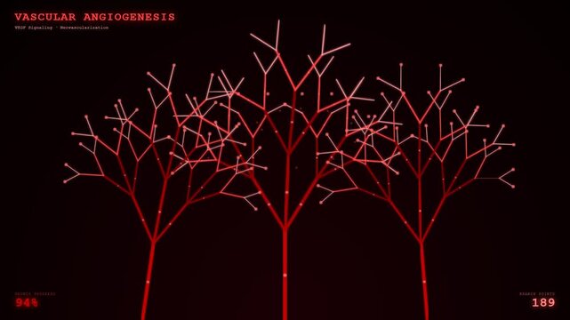 A scientific simulation demonstrating advanced Organoid Disease Modeling captures vascular angiogenesis with glowing red branches and expanding networks, depicting crucial neovascularization.