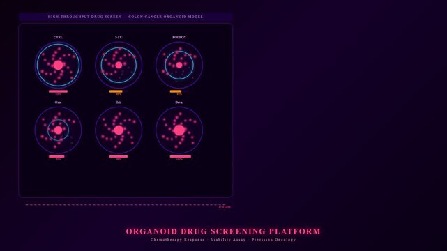 A scientific high-throughput screen demonstrates Organoid Disease Modeling for evaluating colon cancer drug treatments and their cellular impact on viability.