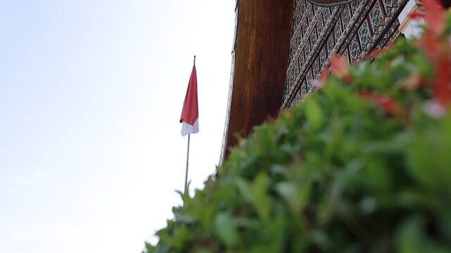 red white indonesia flag