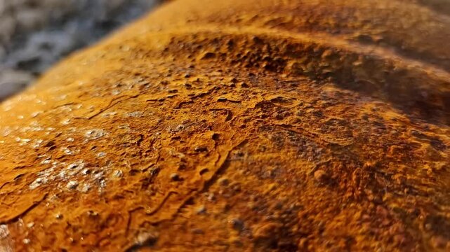 Close-up shot of heavily rusted metal surface with intricate patterns and textures. It has an abstract feel with varying shades of orange and brown