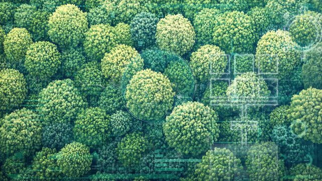 Environment protection concept. Renewable energy. Sustainable development goals.