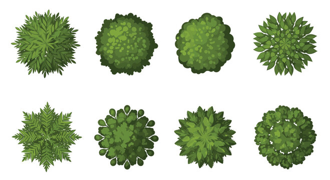 A collection of eight diverse green bushes and shrubs with unique leaf textures and shapes is shown from a top-down perspective on white.