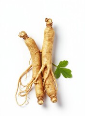 Fototapeta premium Two fresh ginseng roots with one green leaf are isolated on a white background. This natural ingredient is used for health and wellness remedies. Ginseng is a traditional oriental medicine.