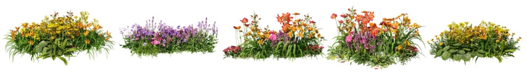 Naklejka premium Shrubs and flower on a transparent background
