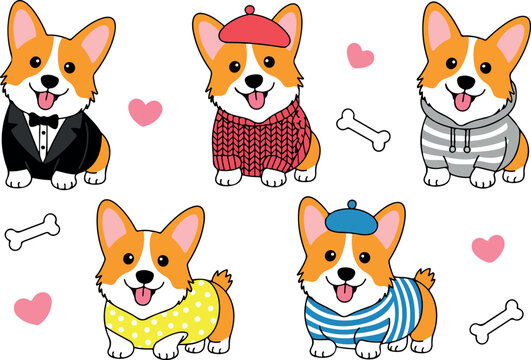 Cute corgi dogs wearing human clothes sweaters dresses hoodies suits and berets simple child friendly flat vector illustration set