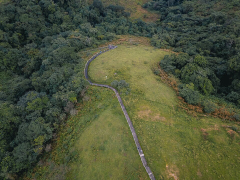 Aerial view of a winding stone path cutting through vibrant green pastures, bordered by dense, dark emerald forests, Obudu, Cross River, Nigeria.