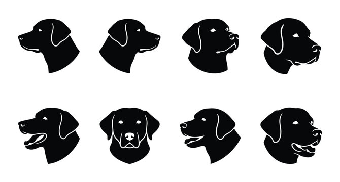 Labrador Retriever Dog Head Silhouettes, Set of 8 Vector Icons, Black and White Canine Profiles for Pet Branding and Animal Graphics