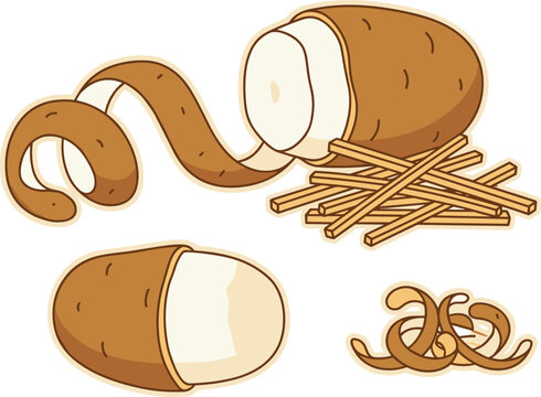 Cassava Root and Tapioca Illustration Set Showing Whole Tubers, Sliced Pieces and Peels with Natural Organic Food Concept in Clean Vector Style
