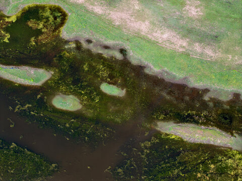 Aerial view of Lake Kerkini showing the intricate patterns of wetlands, green marsh vegetation, and dark water channels in Serres, Greece.