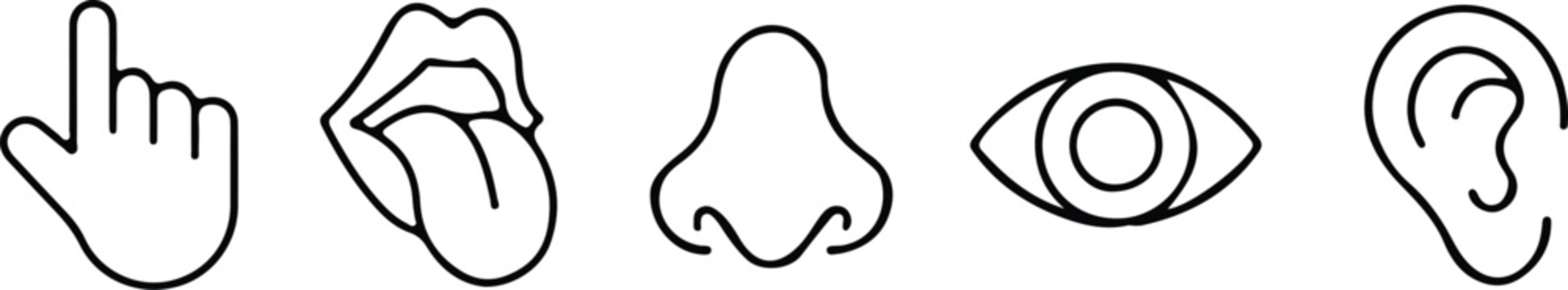 five sense nose ear eye touch smell line icon set vector 