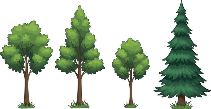 Green trees collection with deciduous and pine tree illustrations showing forest variety, natural landscape elements, and detailed botanical vector illustration set