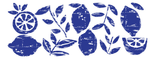 Obraz na płótnie Canvas Mediterranean lemon botanical set with leaves and slices in blue monochrome linocut style. Vintage engraved illustration for packaging, branding, logo, menu and food design, isolated vector collection