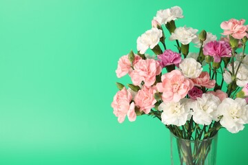 Obraz premium Beautiful carnation flowers in vase on green background, closeup. Space for text