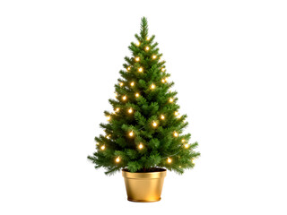 Naklejka premium [Transparent Background PNG]Christmas Tree with Lights in Gold Pot on White Background